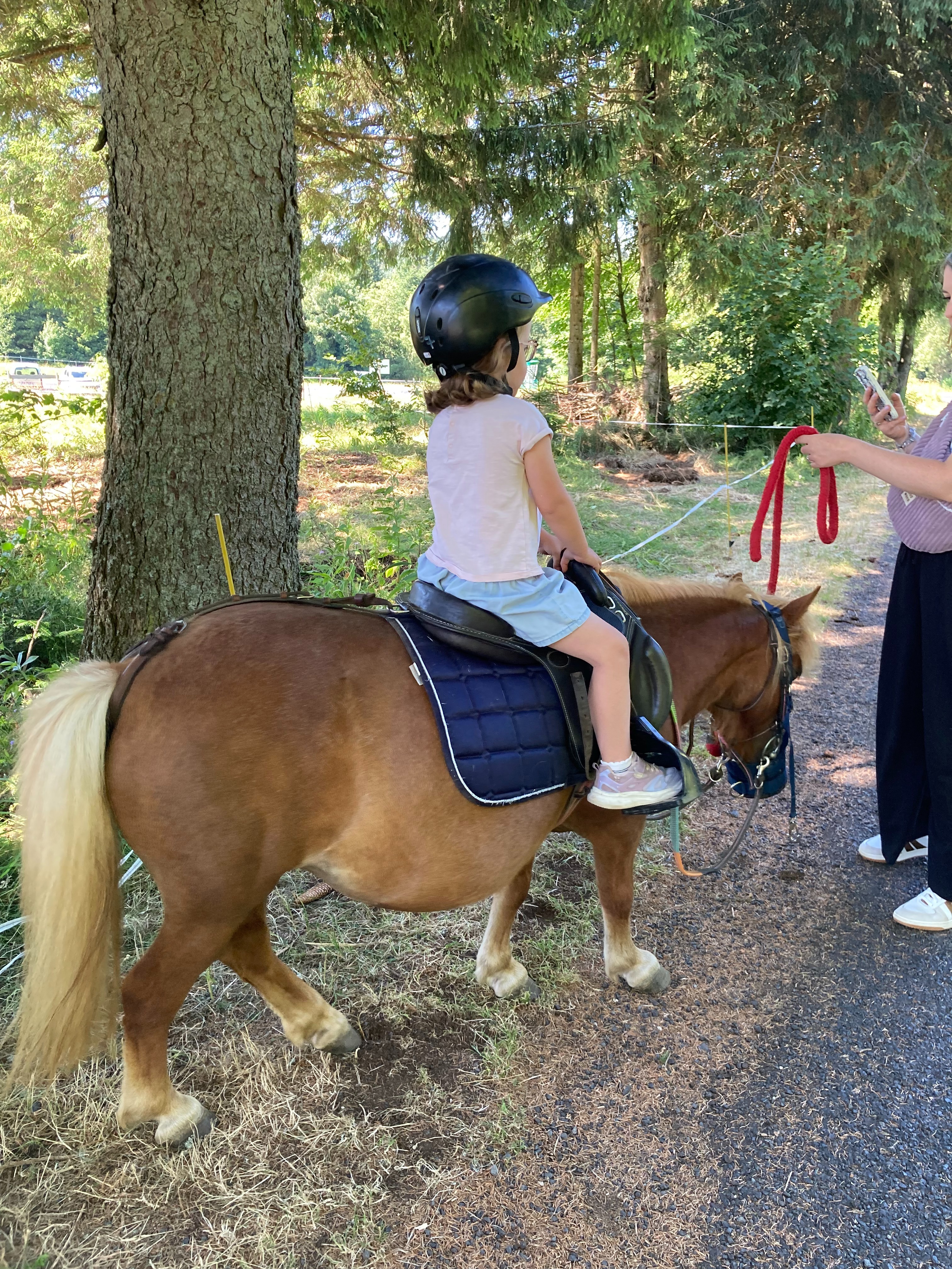 Balade à poney Meygal